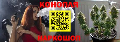 гидра Комсомольск-на-Амуре