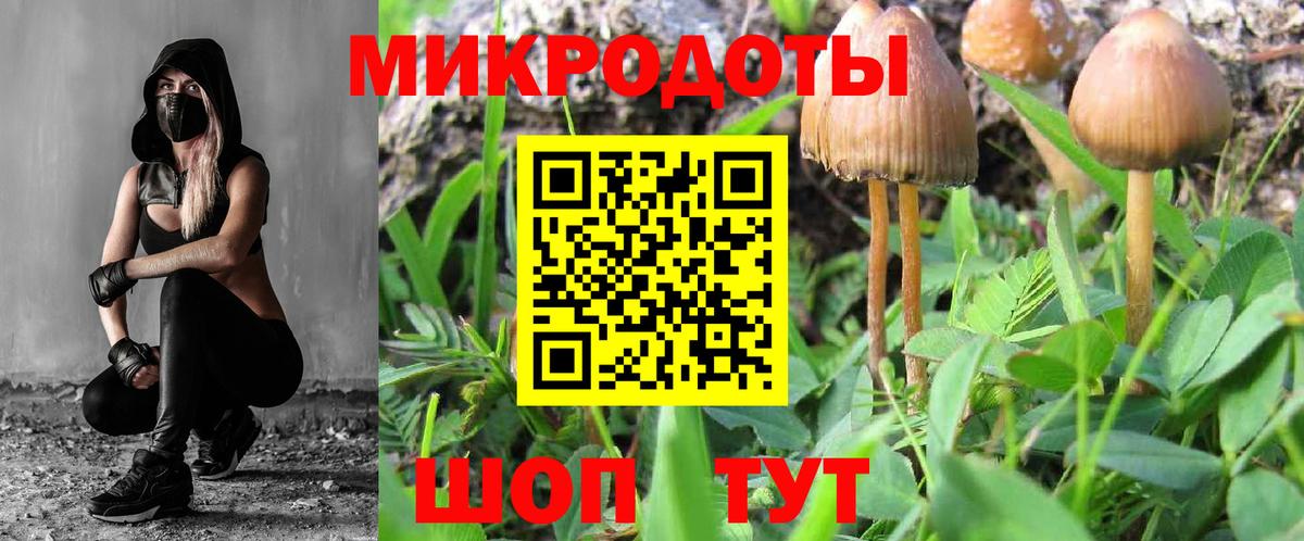 Псилоцибиновые грибы Cubensis  Псилоцибиновые грибы прущие грибы  Вход с VPN  Казань 